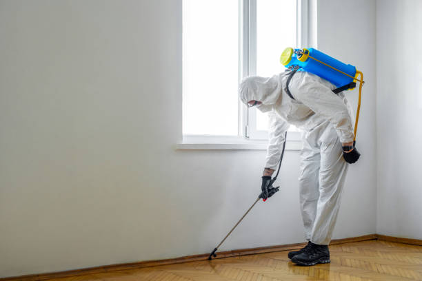 Best Affordable Pest Control Services  in Evart, MI