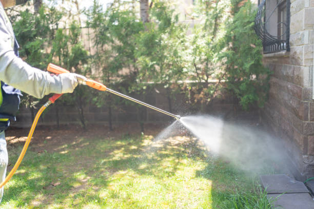 Best Best Pest Control Companies  in Evart, MI