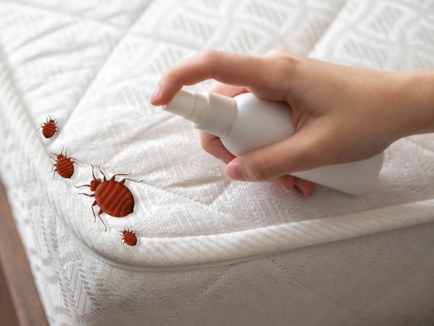 Best Mosquito Control Services  in Evart, MI